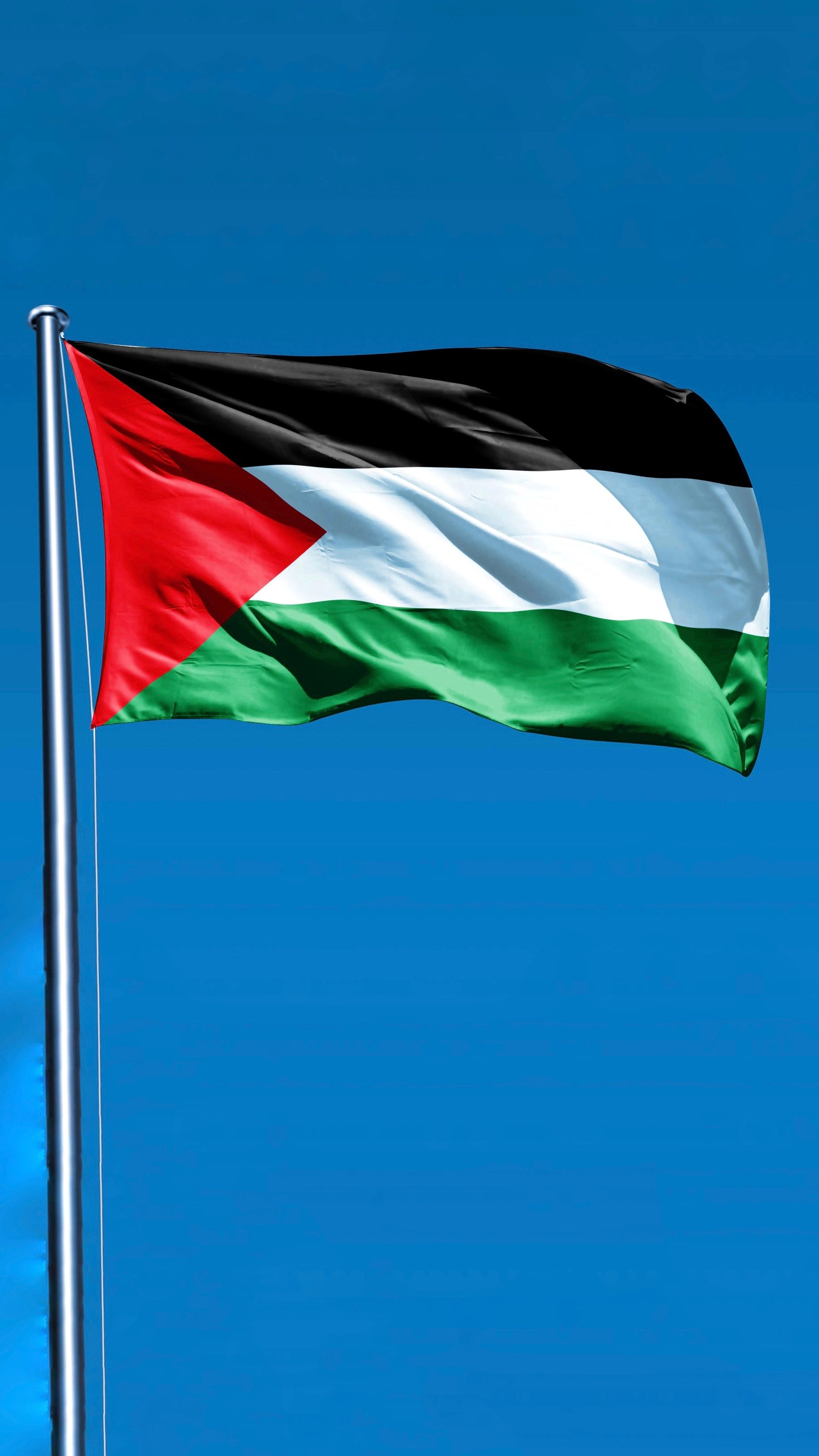 Bandiera, palestina, gaza, bianco verde nero rosso, bandiere grandi