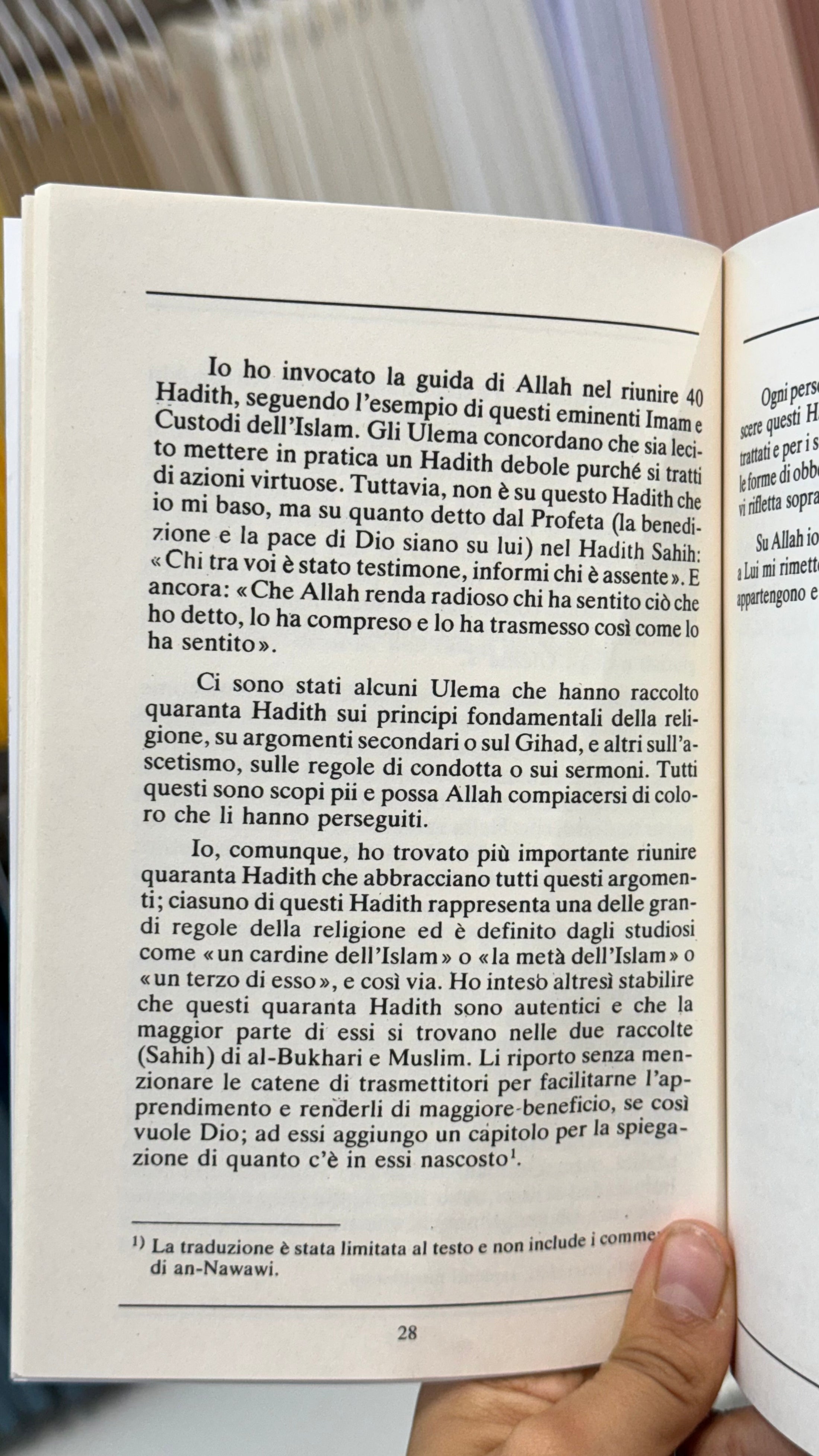 I 40 hadith (An Nawawi) (nuova edizione) - Hijab Paradise -I 40 hadith (An Nawawi) (nuova edizione) - Hijab Paradise - introduzione -  libro islam -  musulmani  - libro - copertina rigida - detti profeta maometto - Hadit  - detti 