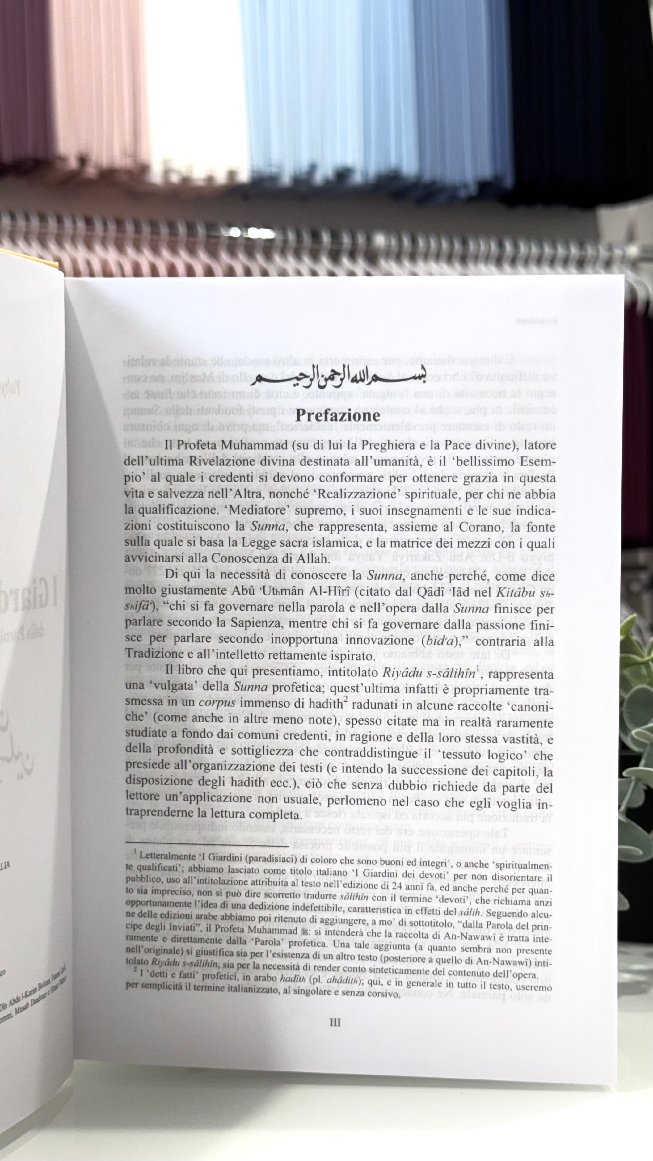 I Giardini dei Devoti - Ar Riyâdu s-sâlihîn - Hijab Paradise  - prefazione - traduzione italiana degli hadit - detti profeta Maometto - detti mohamed sws - hadit